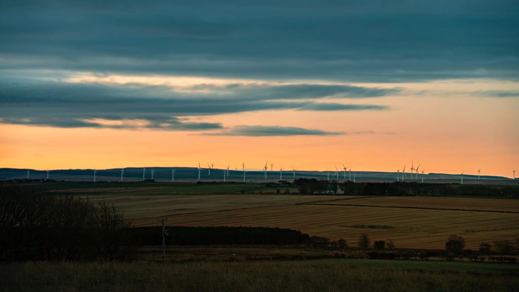 Wind farm at dawn, duotone editorial treatment